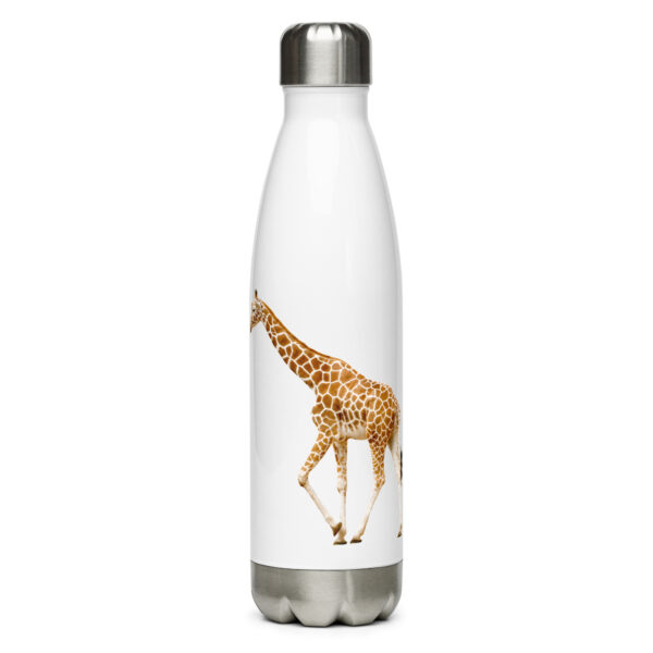 Stainless Steel Water Bottle